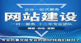 企业海安网站建设公司方案范文