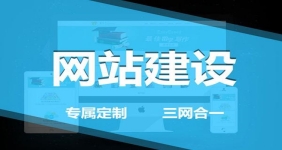 海安做网站：企业建站选择“定制”的四个理由